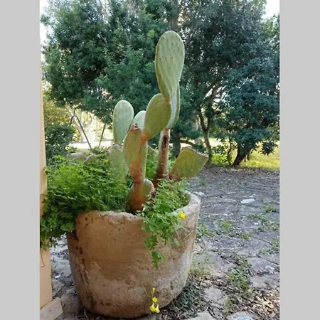 Ferienhaus Sjo Village Sardegna