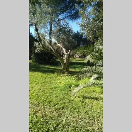 Sjo Village Sardegna Ferienhaus Mogoro